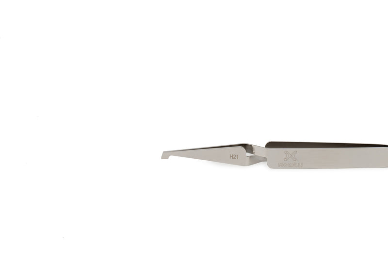 Pinza porta brackets con coleta Borgatta